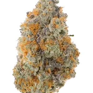 King Kush