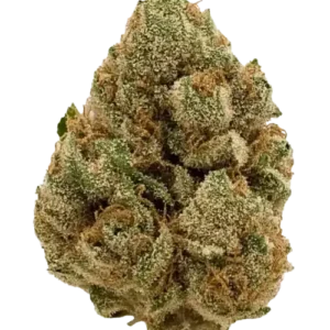 Blue Cheese