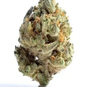 Lemon Dreams