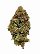 Black Death Gas