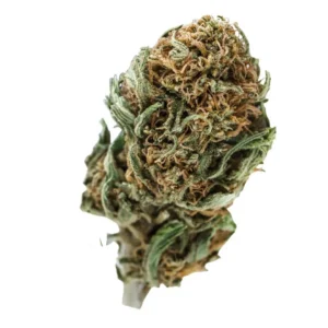 Blueberry
