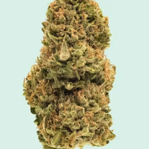 Fruit of Gods