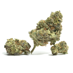 Gunk Bubba