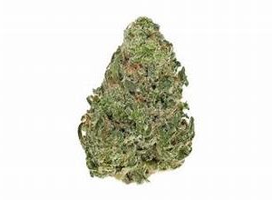 Hog OG
