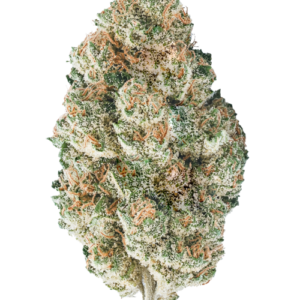 King Kush