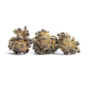 Master Kush