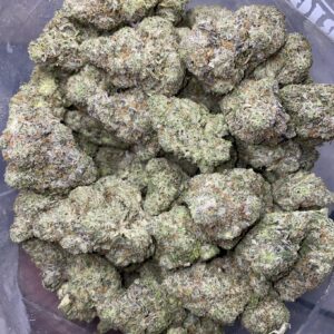 Chem 91